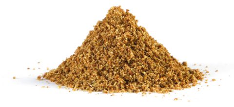 Camelina Seeds | Camelina Solutions