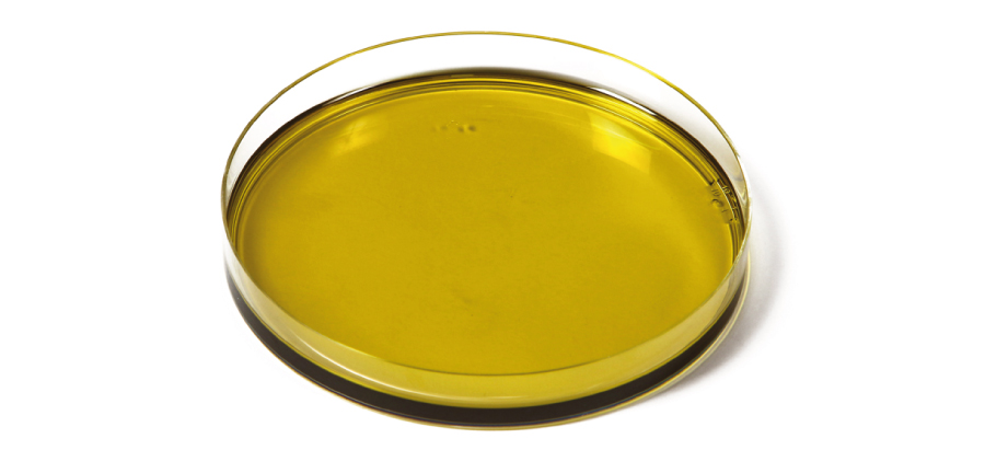 Camelina oil high in olive triterpenes